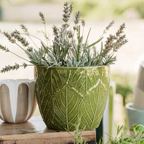 Viva Garden Green Embossed Leaves Cachepot