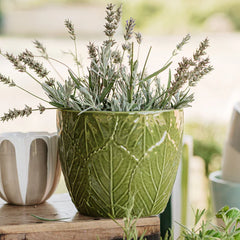 Viva Garden Green Embossed Leaves Cachepot