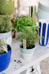 Viva Garden Aqua Reactive Large Cachepot