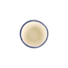 Viva Garden Cobalt Reactive Small Cachepot