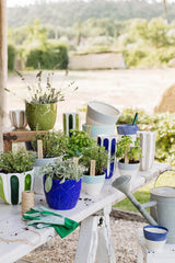 Viva Garden Cobalt Tulip Large Cachepot