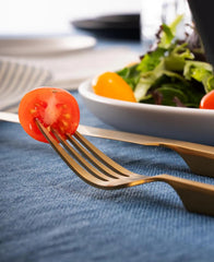 Hover Matte Gold 18/10 Stainless Steel Dinner Fork