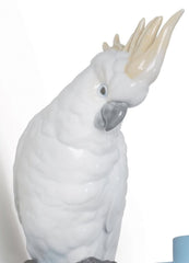 Parrot Hang I Hanger