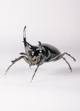 Rhinoceros Beetle Figurine