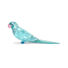 Jungle Beats Blue Parakeet Paco