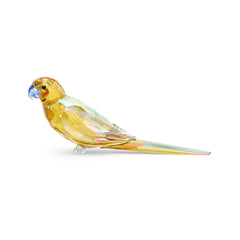 Jungle Beats Yellow Parakeet Lechee