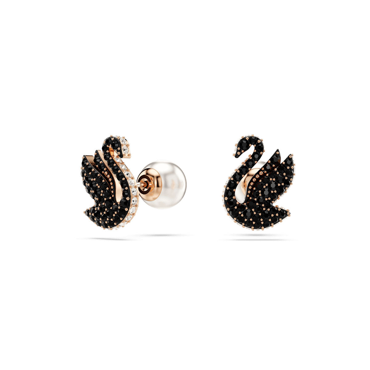 Swan stud earrings, Crystal pearl, Swan, Black, Rose gold-tone plated