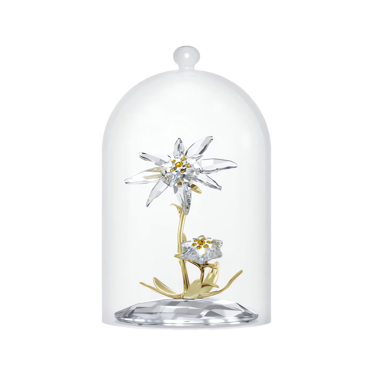 Florere 130th Anniversary Bell Jar