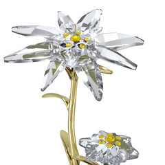 Florere 130th Anniversary Bell Jar