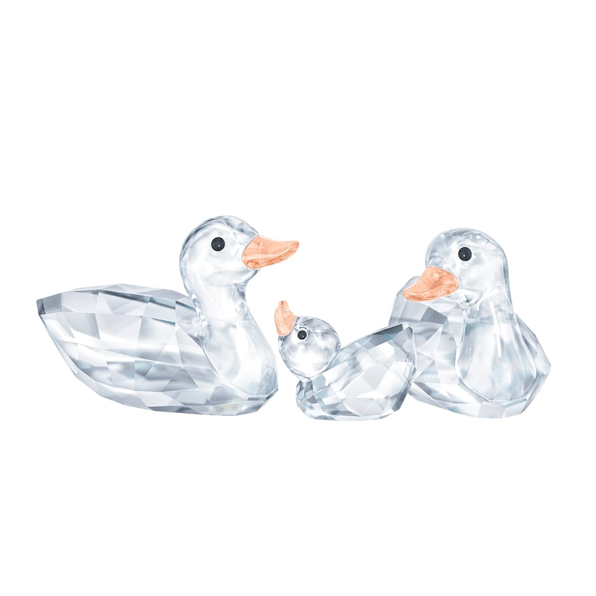 Ducks