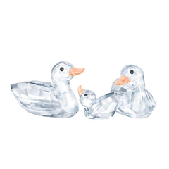Ducks