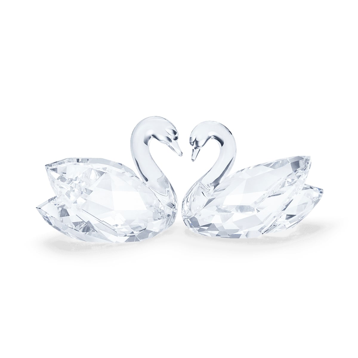 Swan Couple