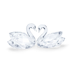 Swan Couple