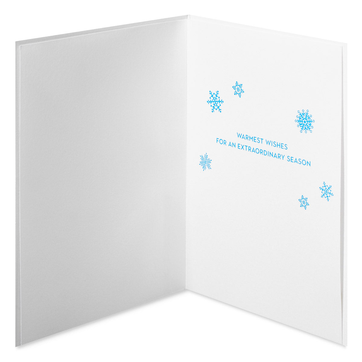 FSC Snowflake Strand Holiday Greeting Card