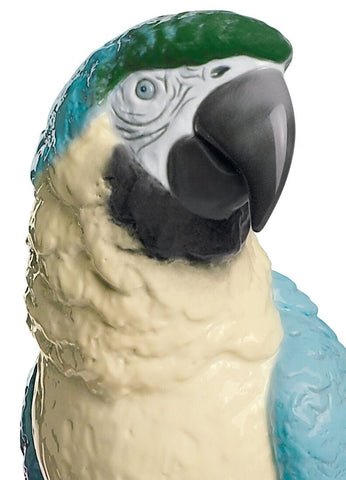 Macaw Bird Sculpture