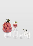 Toucan 2 Tall Crystal Glasses + 2 Stirrers Set. Golden Luster