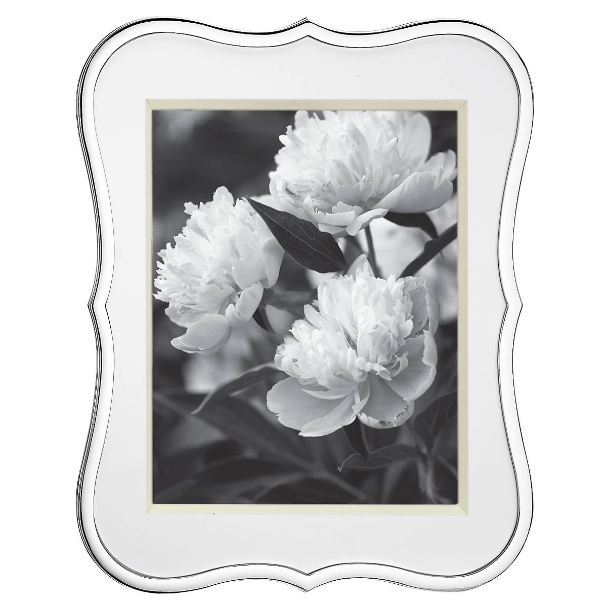 Crown Point™ 8" X 10" Frame