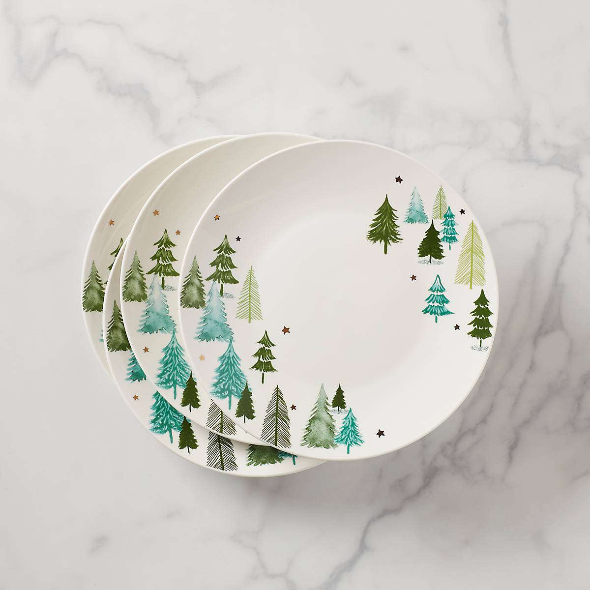 Balsam Lane™ 4-Piece Dinner Plate Set