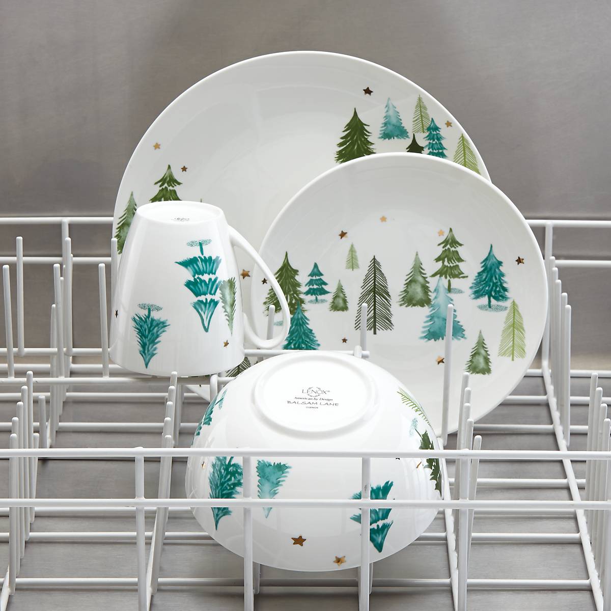 Balsam Lane™ 4-Piece Dinner Plate Set