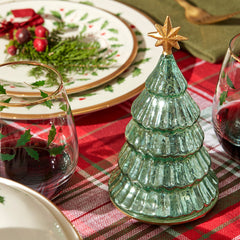 Radiant Light Lit Pine Tree