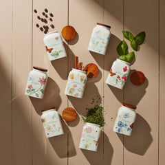 Butterfly Meadow Assorted Spice Jars, Set Of 4