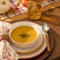 24 Seven Colors Sunbaked 12-Piece Dinnerware Set