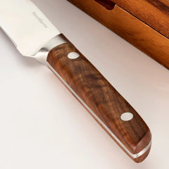 Asher 5-Piece Steak Knife Set With Storage Box