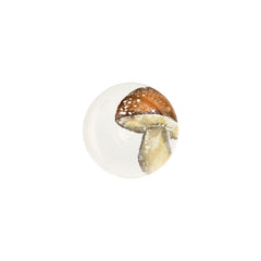 Autunno Assorted Mushroom Canape Plates - Set Of 4