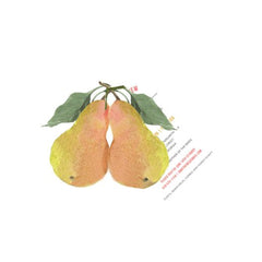 Perfect Pear With Green Raffia Tag Invitation Cards (Set Of 60)