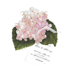 Pink Hydragea With Ribbon and Tag Invitation Cards (Set Of 60)