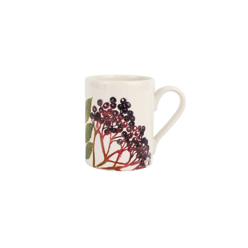 Foresta Primavera Assorted Mugs - Set Of 4