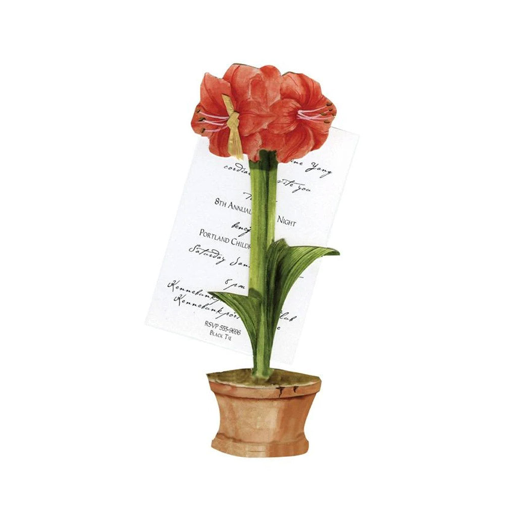 Amaryllis With Ribbon and Tag Invitation Cards (Set Of 60)