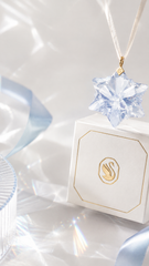 SCS Blue Shade Star Ornament