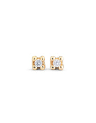 Stud Earrings With White Zircon - Gold