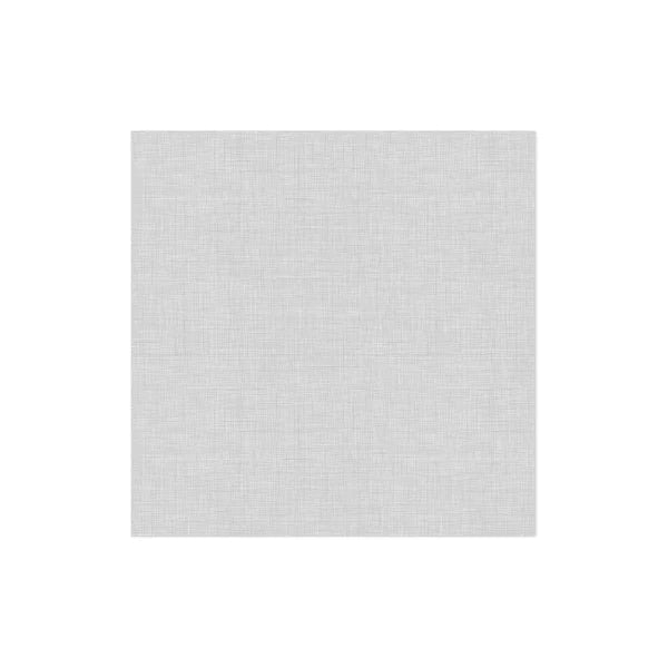 Papersoft Napkins Easy Light Gray Dinner Napkins (Pack of 20)