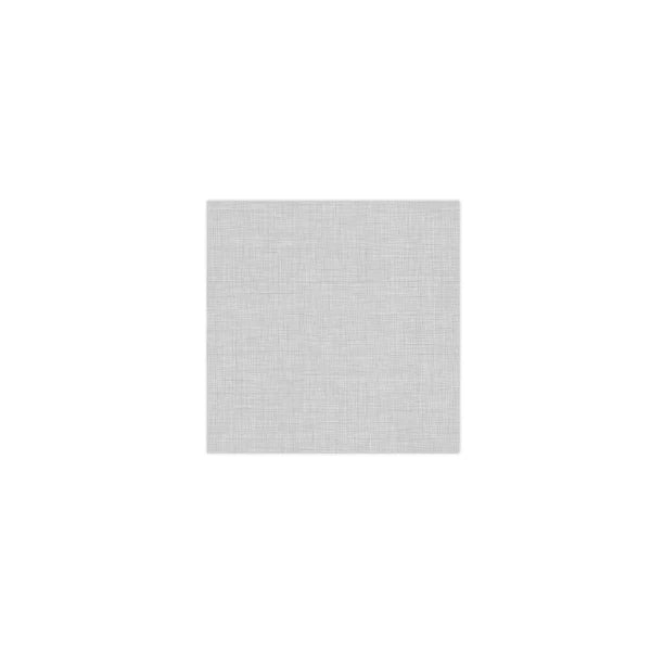 Papersoft Napkins Easy Light Gray Cocktail Napkins (Pack of 20)