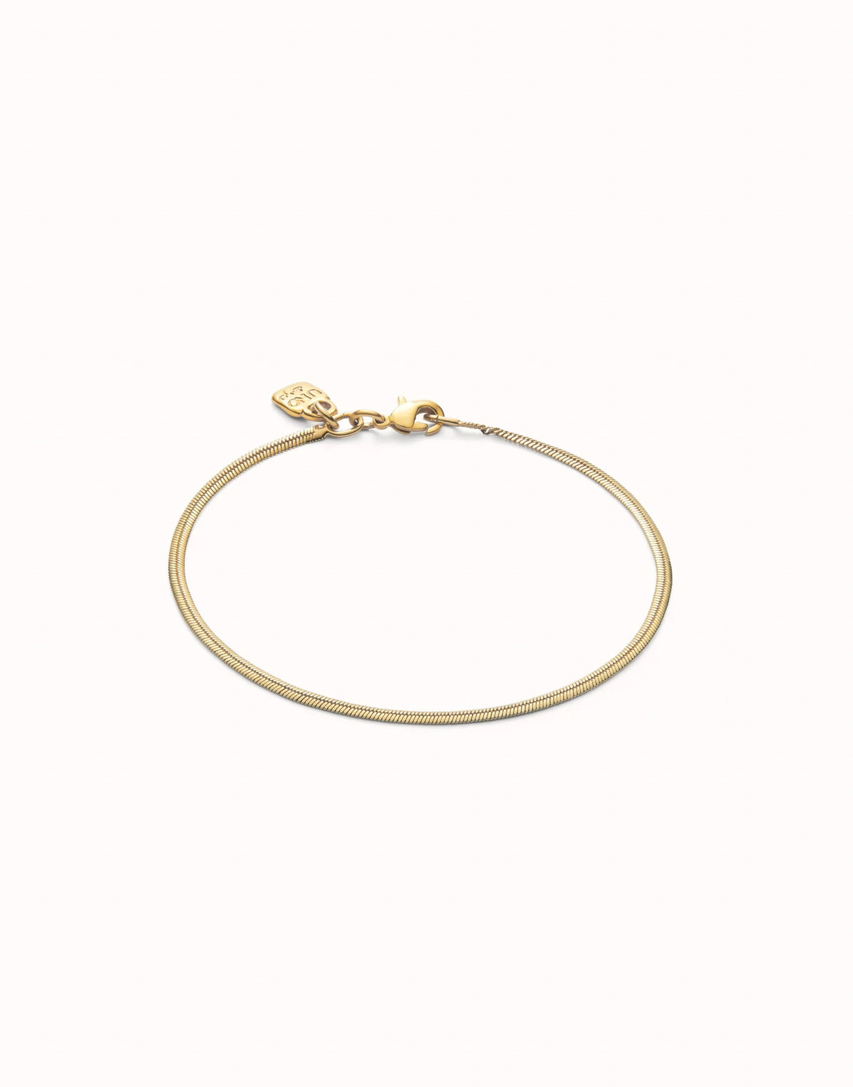 Flat Snake Chain Bracelet - Gold