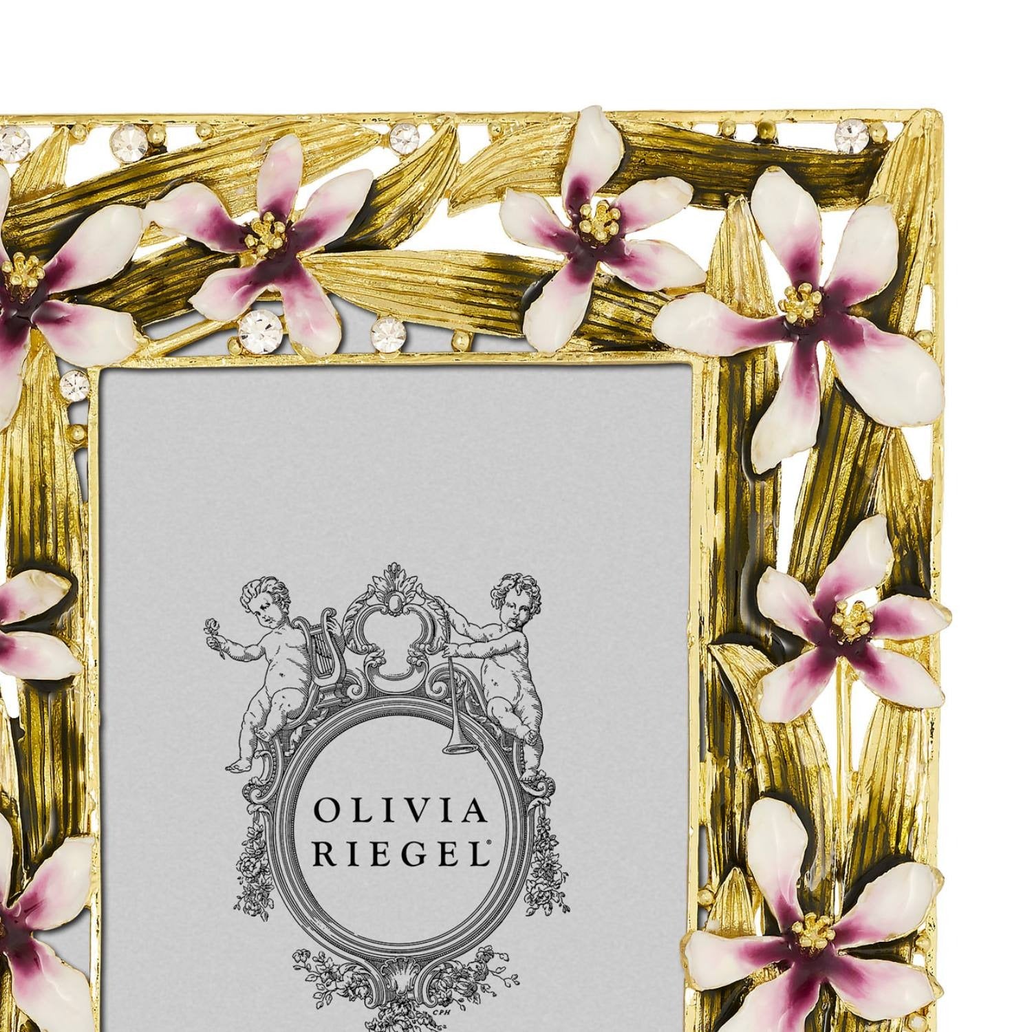 Orchid Delight Frame 4" x 6"