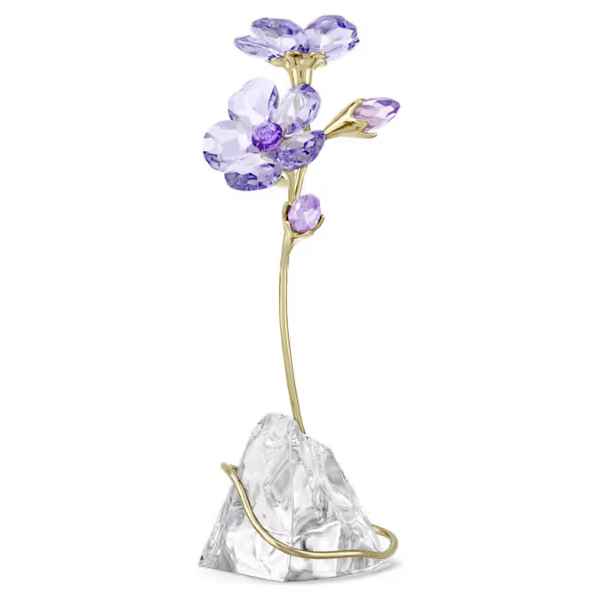 Florere Rozanne Flower