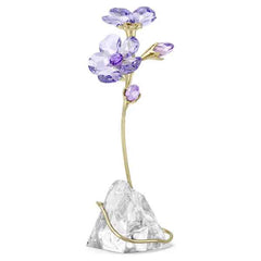 Florere Rozanne Flower