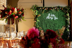 Green Boxwood Backdrop Rental