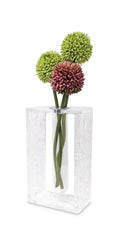 Acrylic Vase with Tube Inlay - Large