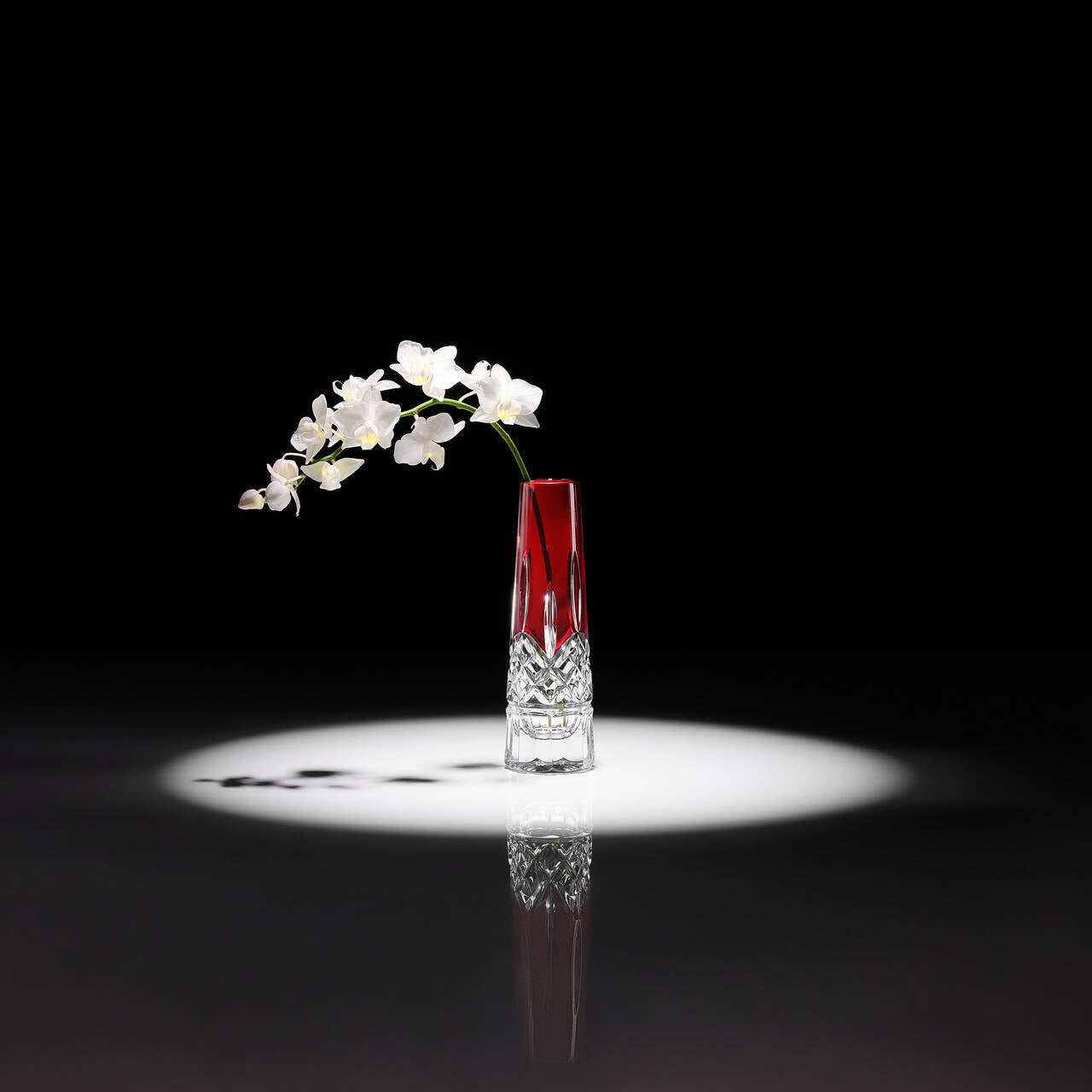 Lismore Red Bud Vase 7in