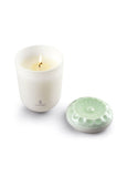 Echoes Of Nature Candle. On The Prairie Scent