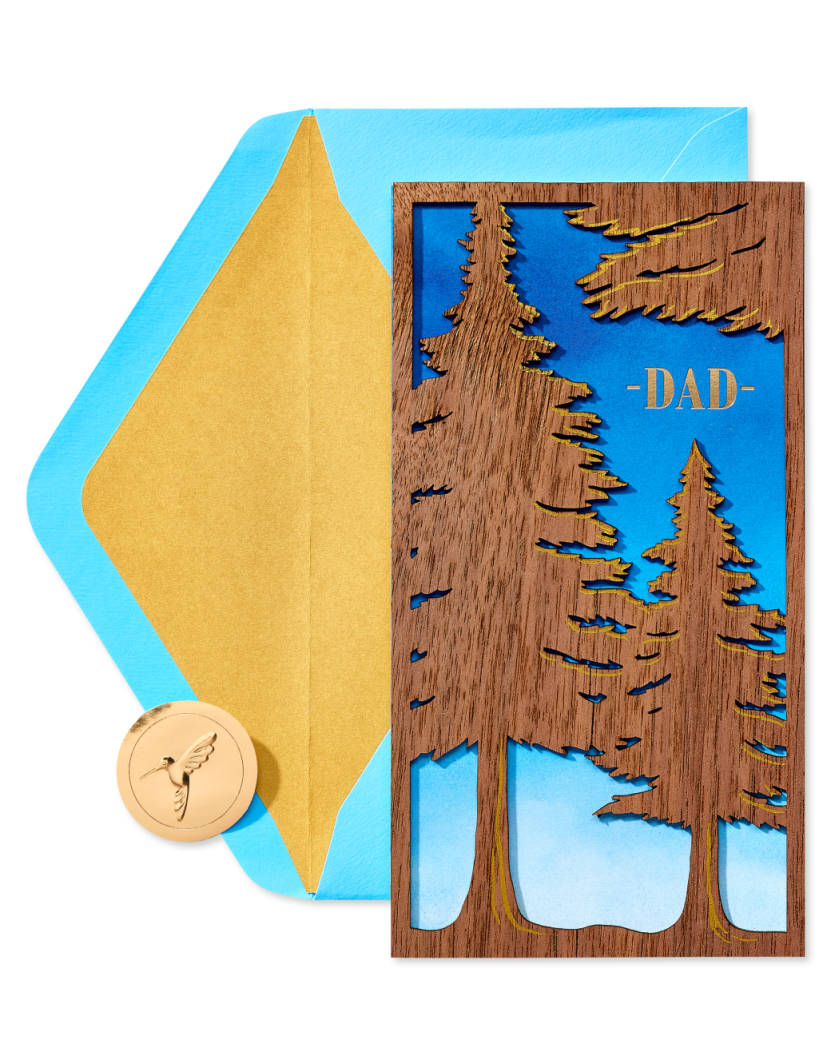 Your Love and Guidance Father’s Day Greeting Card for Dad