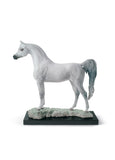 Arabian Pure Breed Horse Figurine. Limited Edition