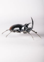 Rhinoceros Beetle Figurine