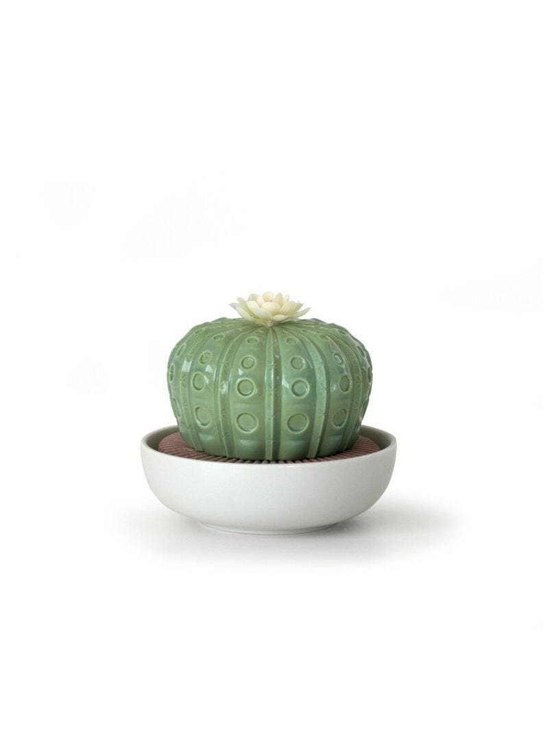 Astrophytum Cactus Diffuser. Gardens Of Valencia Scent