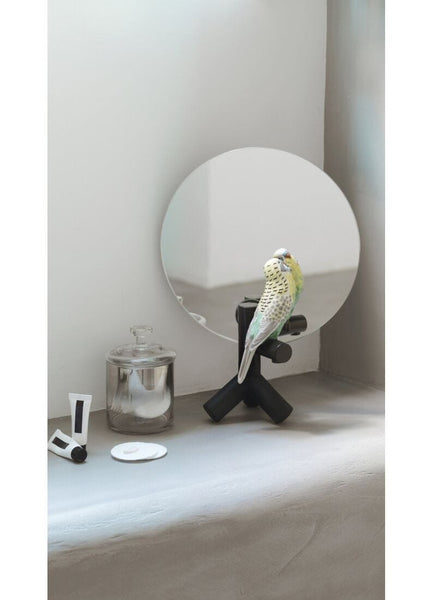 Parrot Vanity Vanity Mirror