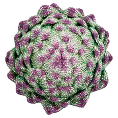 Crystal Myriad Artichoke